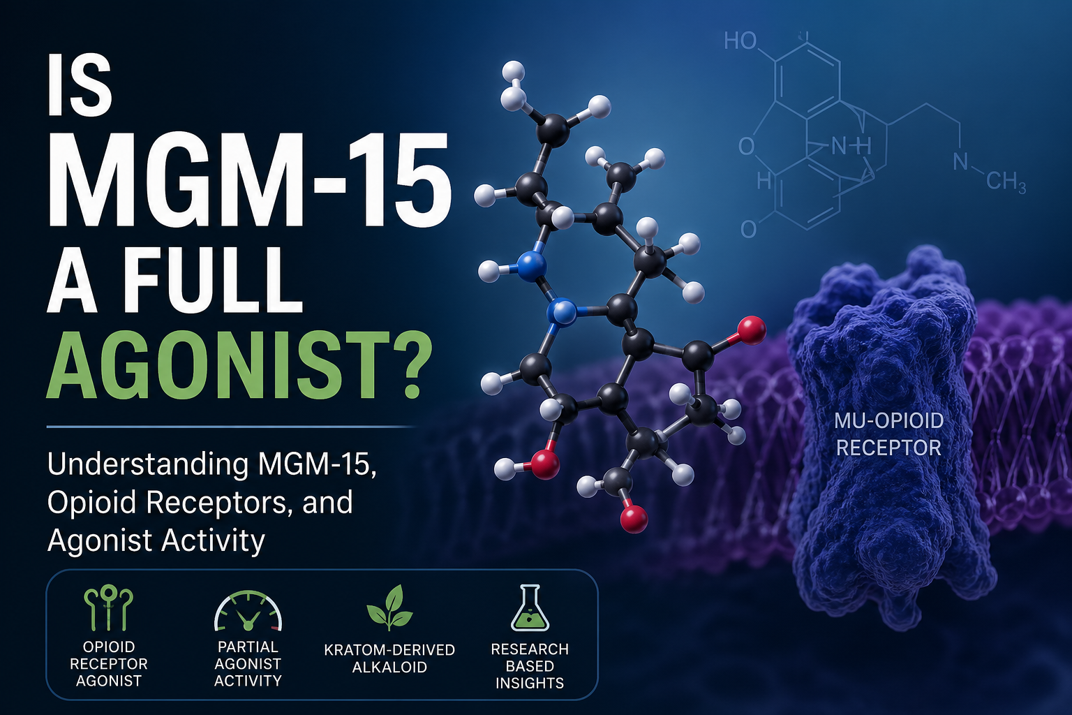 Is MGM-15 a Full Agonist?